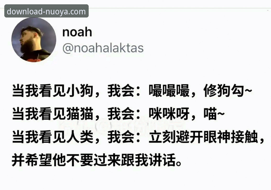 资深用户分享：诺亚体育App下载失败的解决方案与实战经验